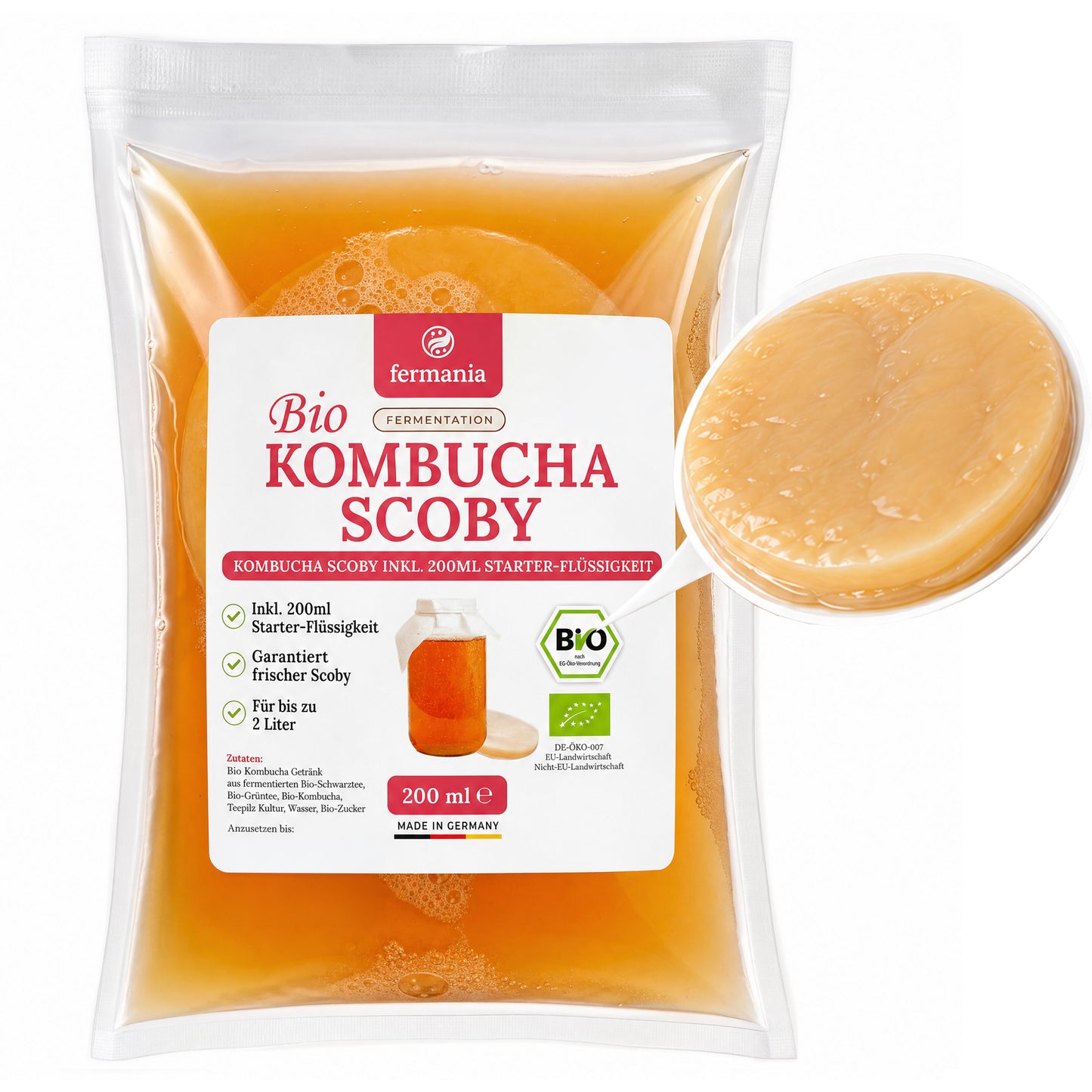 Kombucha Starter Set - selber machen mit Kombucha Teepilz (SCOBY) + Zubehör