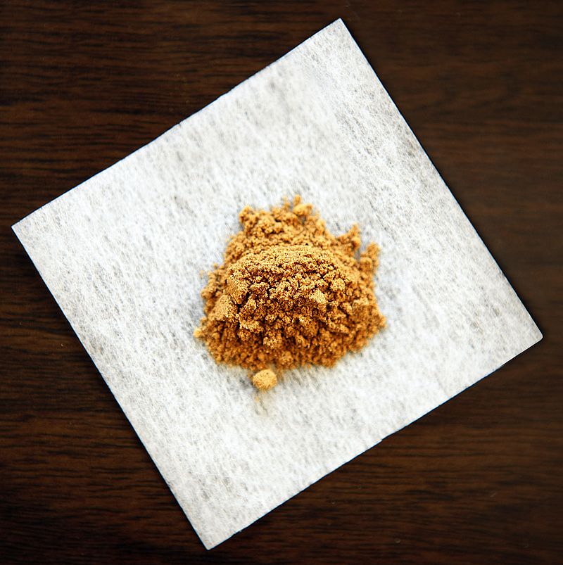 Bio Cordyceps Militaris Pulver