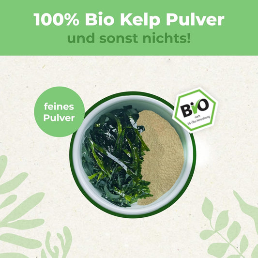 Kelp Pulver 250g | Bio Kelp Algen