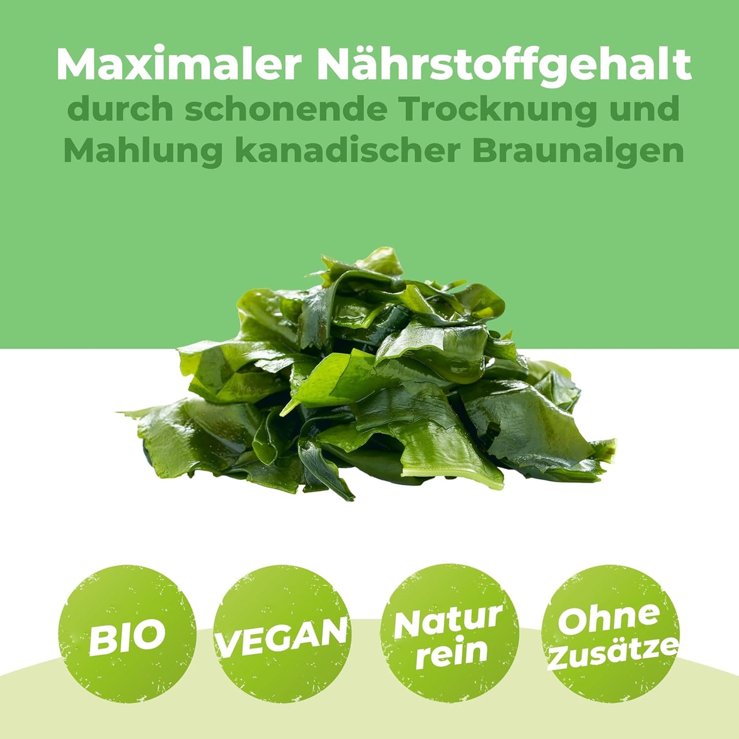 Kelp Pulver 250g | Bio Kelp Algen