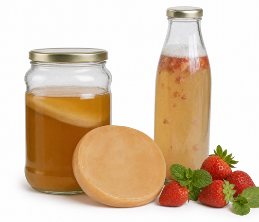 Kombucha Teepilz- Scoby inkl. Ansatzflüssigkeit