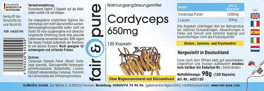 Maitake Vitalpilz Kapseln 650mg | 120 Stück