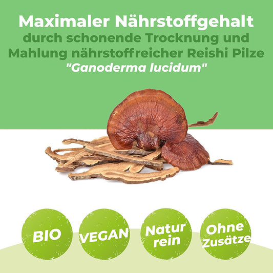 Reishi Pulver 250g | Bio | Vitalpilz für Reishi Tee