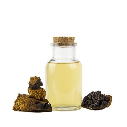 Chaga Tinktur 120ml - die Vitalpilz-Essenz des Waldes