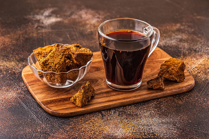 Chaga Tee Zubereitung in einem Glas