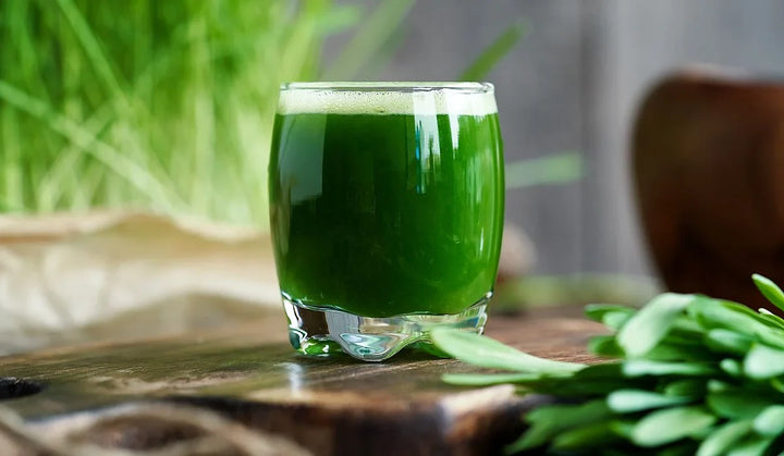 Gerstengras Einnahme und Dosierung leicht gemacht