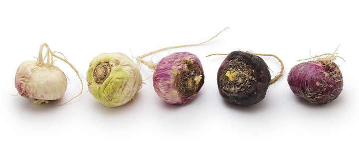 Wann spüre ich den Effekt von Maca? Tipps zur schnelleren Wirkung