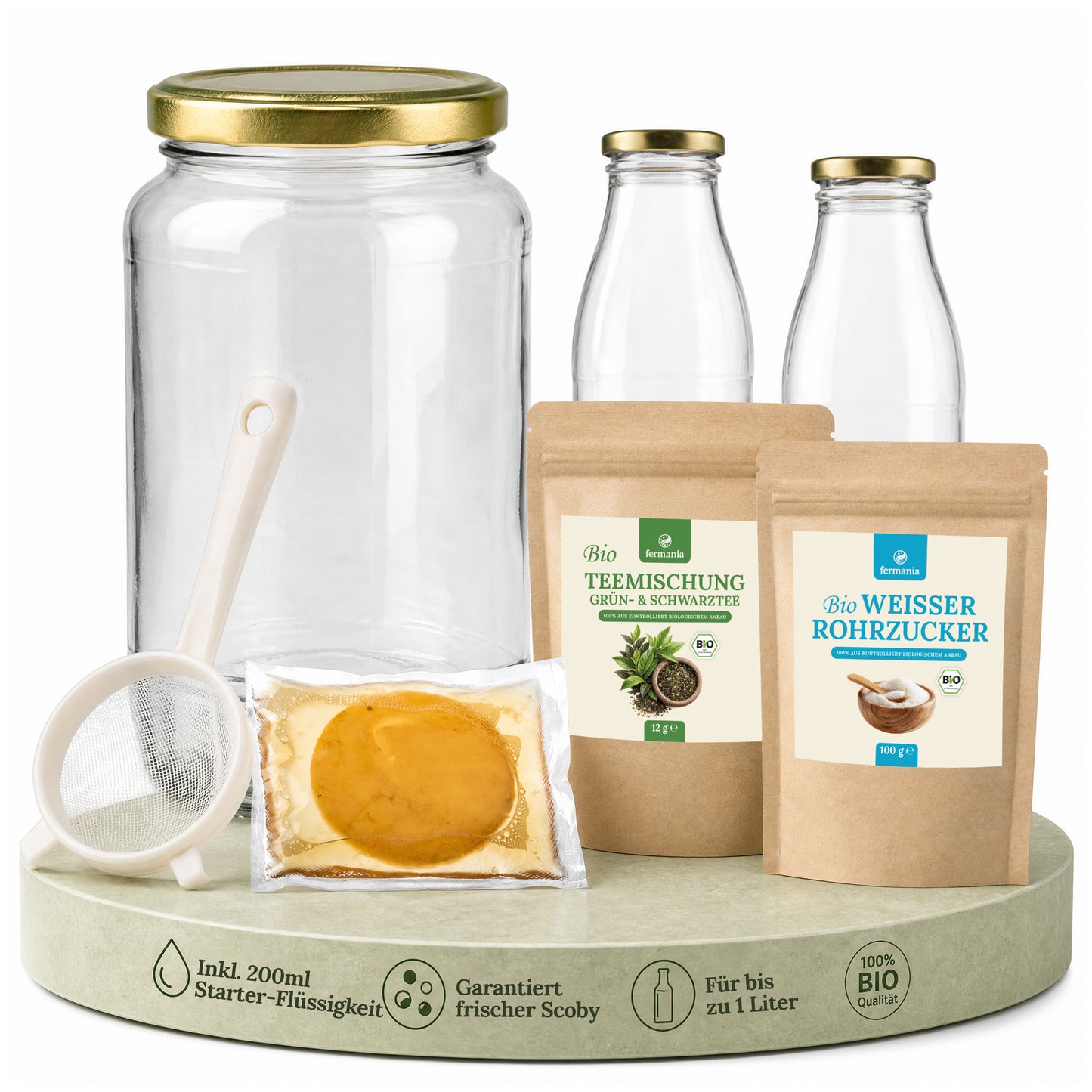 Kombucha Medium Starter Set mit Kombucha Teepilz (SCOBY) + Zubehör