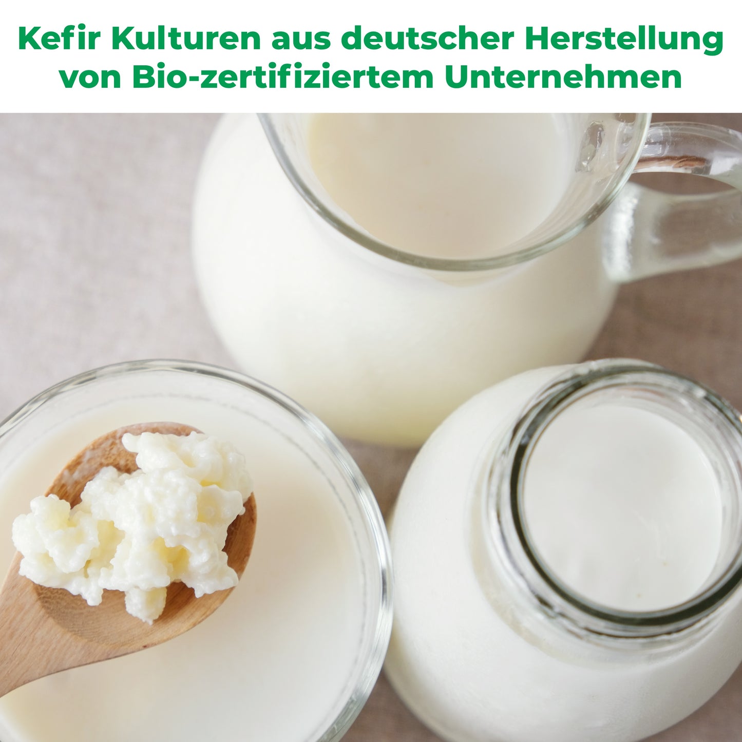 Bio Kefir-Knollen bestehend Knollen für leckeres Milchkefir-Getränk