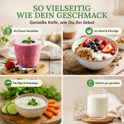 Bio Kefir-Knollen - Milchkefirknollen für leckeres Milchkefir-Getränk