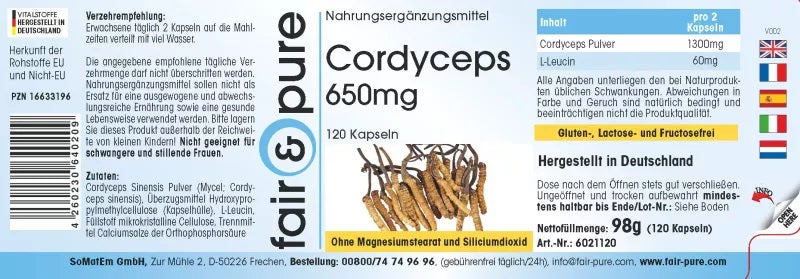 Cordyceps Kapseln – Natürliche Energie & Immunsystem-Unterstützung