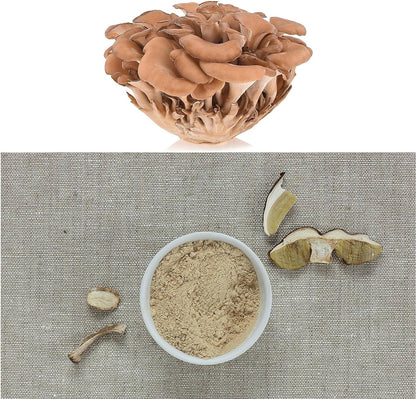 Bio Maitake Pulver 250g