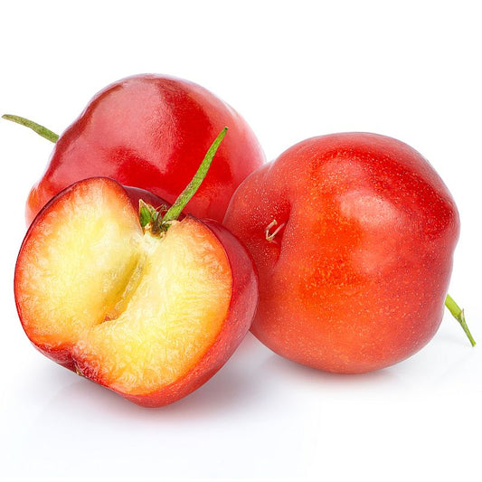 Bio Acerola Pulver | mit 17% natürlichem Vitamin C