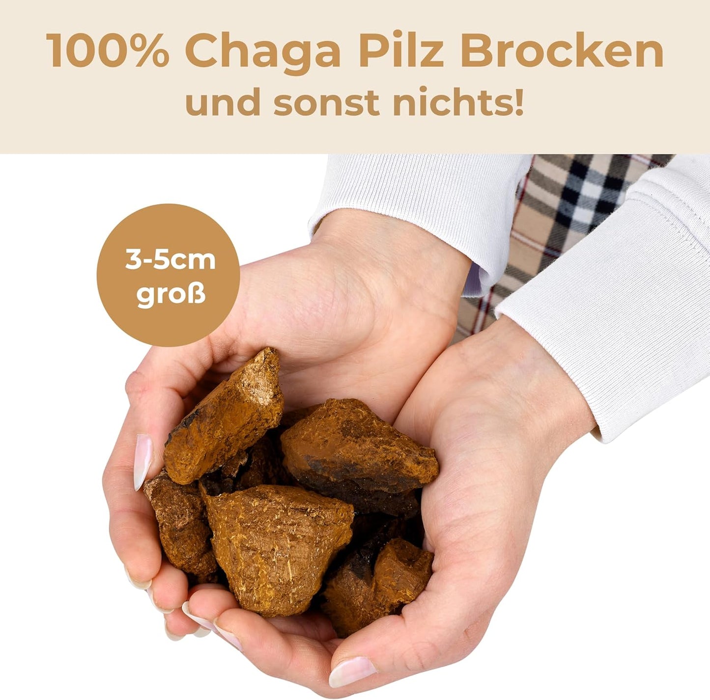 Chaga Tee Pilz-Brocken aus Sibirien