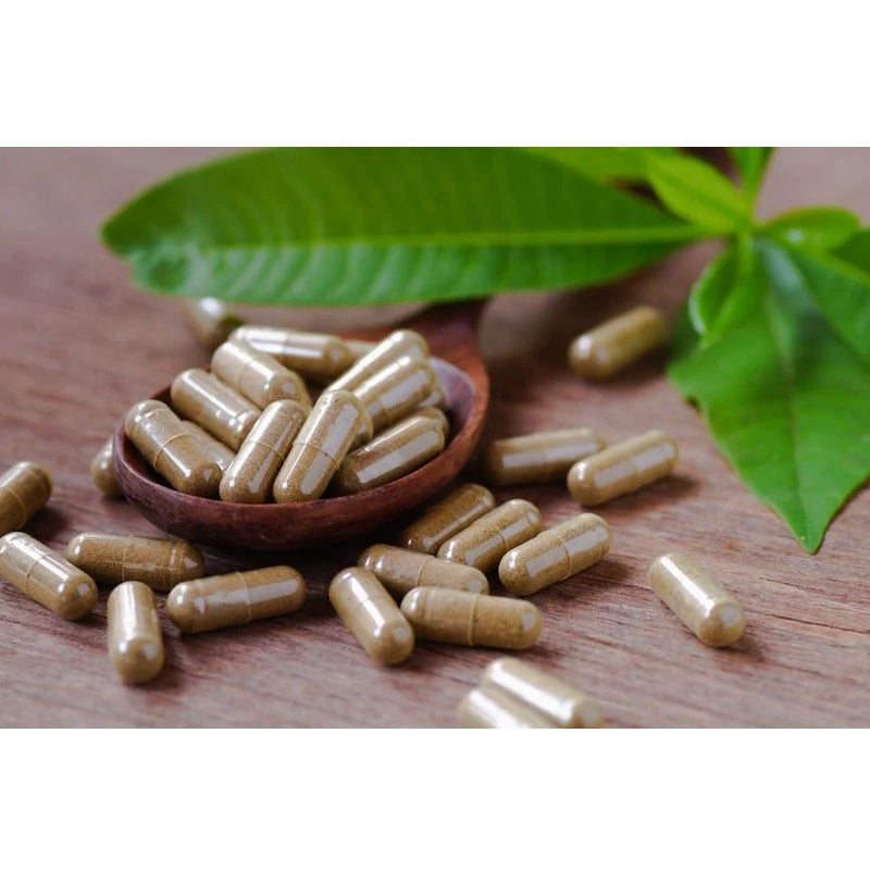 Chaga Softgel Kapseln | Vitalpilz aus Wildsammlung