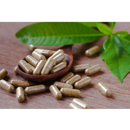 Chaga Softgel Kapseln | Vitalpilz aus Wildsammlung