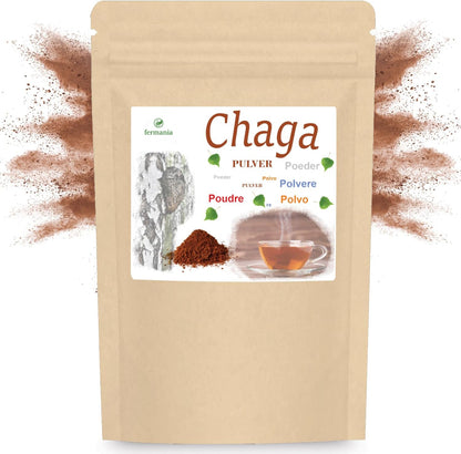 Chaga Pulver aus baltischer Vitalpilz-Wildsammlung