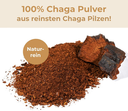 Chaga Pulver aus baltischer Vitalpilz-Wildsammlung