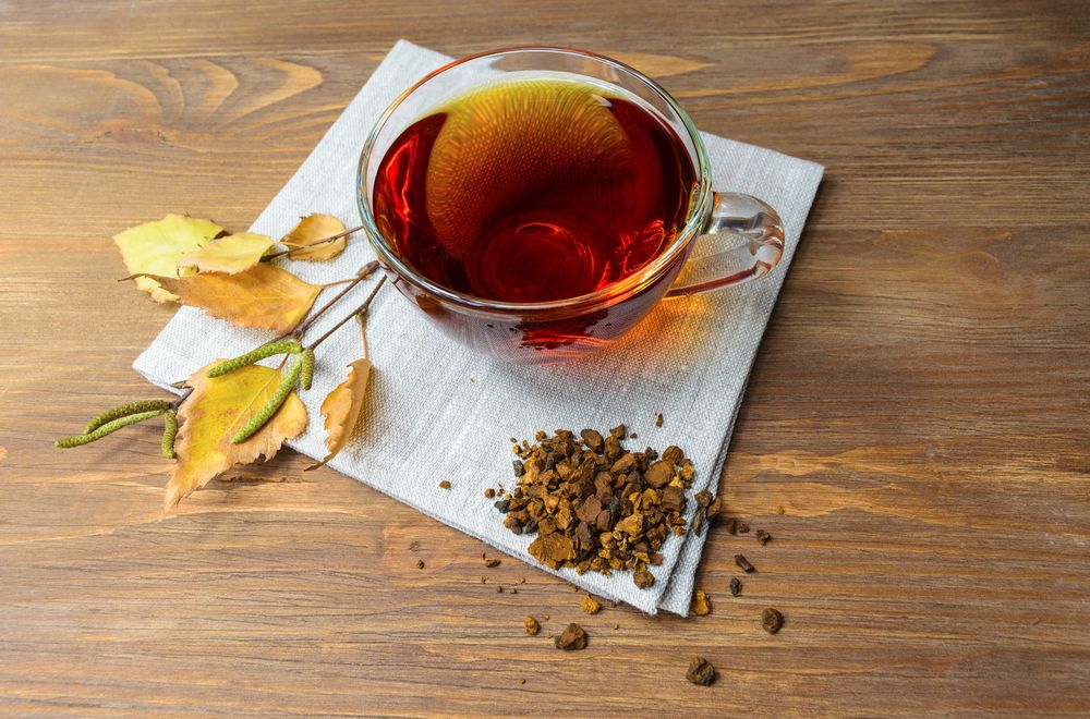 Chaga Pilz Pulver | Vitalpilz Sparvorrat