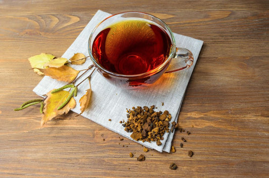 Chaga Pilz Pulver | Vitalpilz Sparvorrat