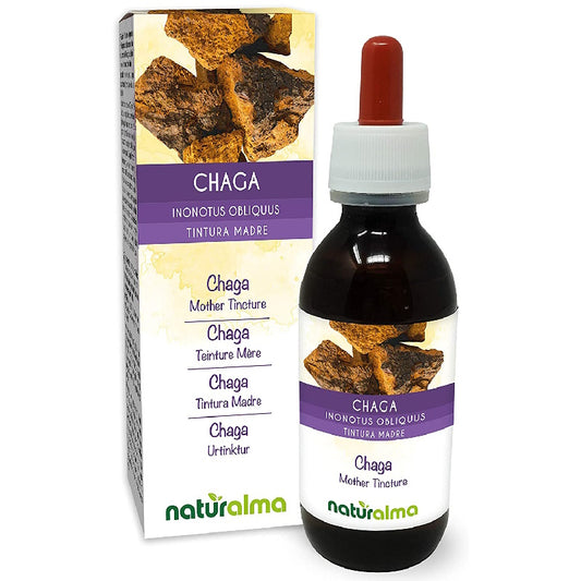 Chaga Tinktur 120ml - die Vitalpilz-Essenz des Waldes