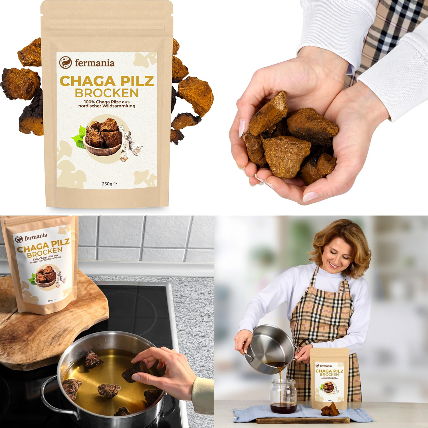 chaga pilz aufbewahren Chaga Tee Pilz-Brocken aus Sibirien – Fermania