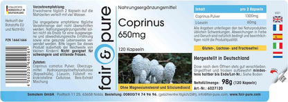 Coprinus Comatus Kapseln | 650mg 120 Stück