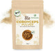 Bio Cordyceps Militaris Pulver