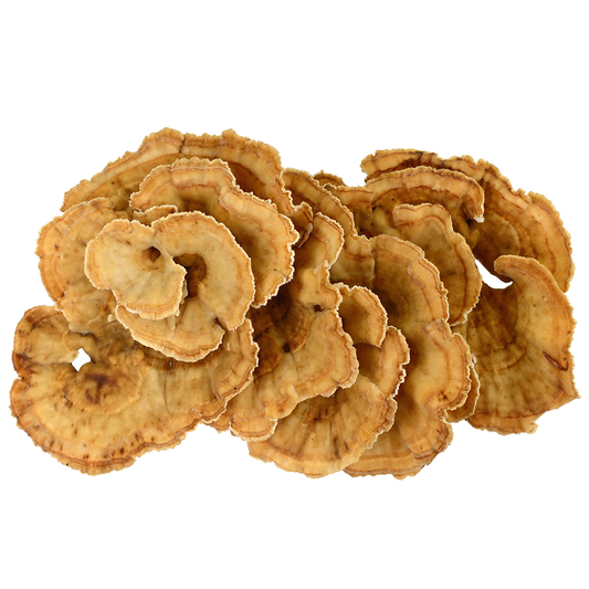 Coriolus Pulver | Vitalpilz 200g | Bio & Rohkost