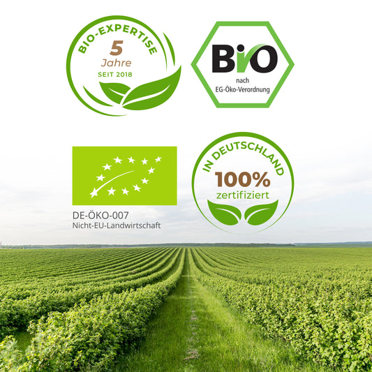 Bio Gerstengras Kapseln 180 Stück