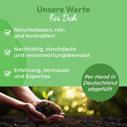 Bio Spirulina Pulver 500g – Vegan, ohne Zusätze & voller Nährstoffe