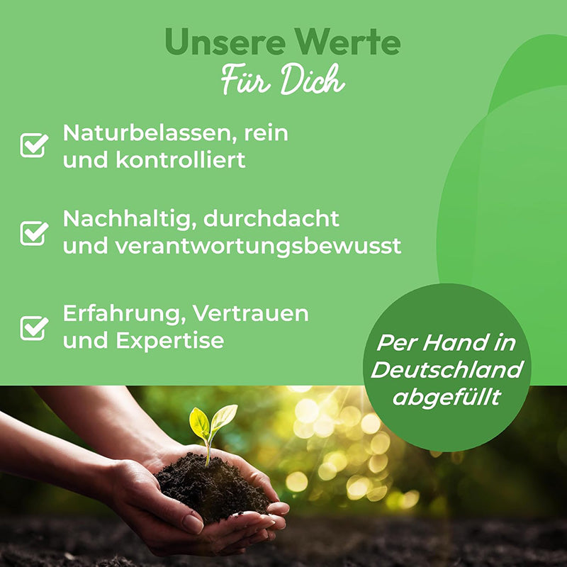 Bio Maca Pulver Schwarz