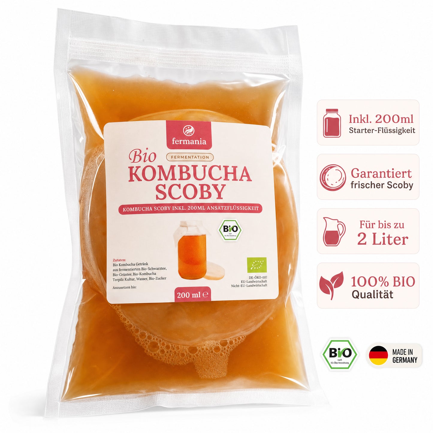 Kombucha Medium Starter Set mit Kombucha Teepilz (SCOBY) + Zubehör