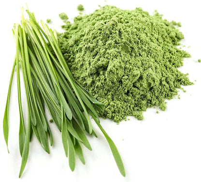 Bio Gerstengras Pulver in Rohkostqualität