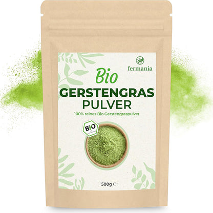 Bio Gerstengras Pulver in Rohkostqualität