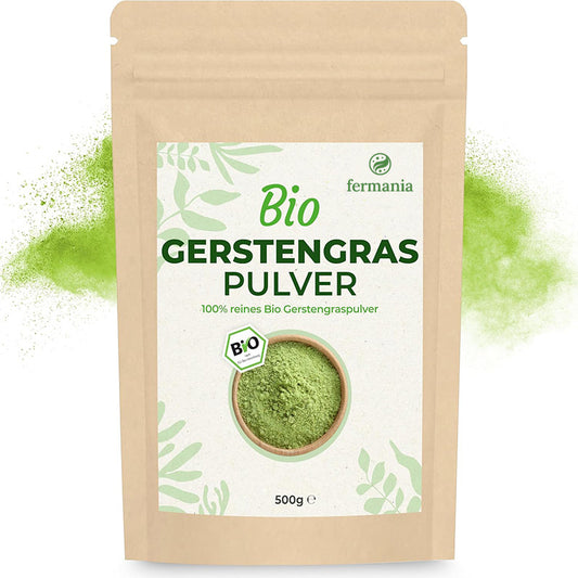 Bio Gerstengras Pulver in Rohkostqualität