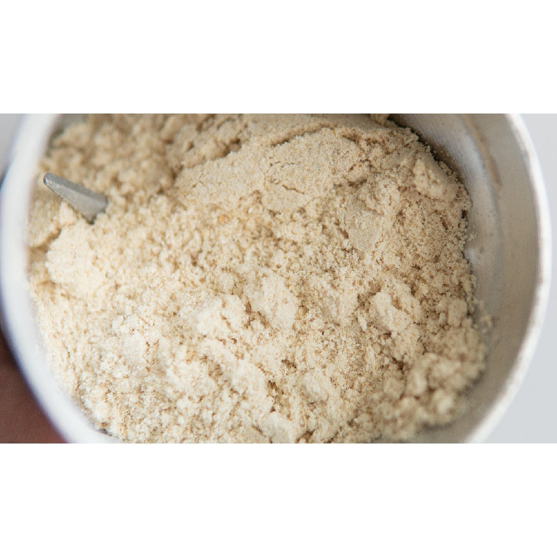 Hericium Pulver 250g | Bio | Rohkost | Hochwertiger Vitalpilz Igelstachelbart