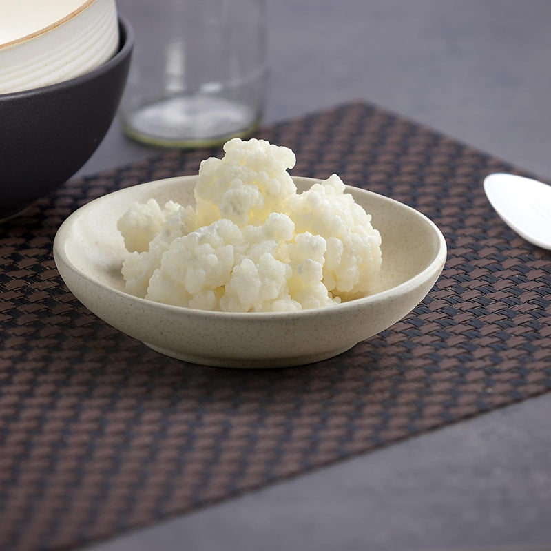 Kefir Starter Set – Milchkefir selber machen mit Bio-Kefirknollen + Zubehör