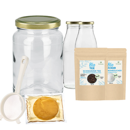 Kombucha Starter Set mit Kombucha Teepilz (SCOBY) + Zubehör – von Fermania