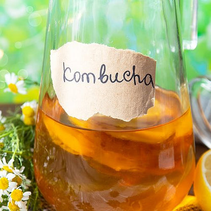 Kombucha Starter Set mit Kombucha Teepilz (SCOBY) + Zubehör – von Fermania