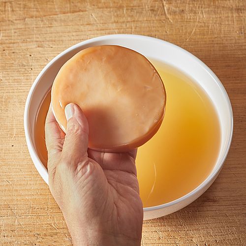 Kombucha Teepilz inkl. Kombucha Getränk als Ansatzflüssigkeit