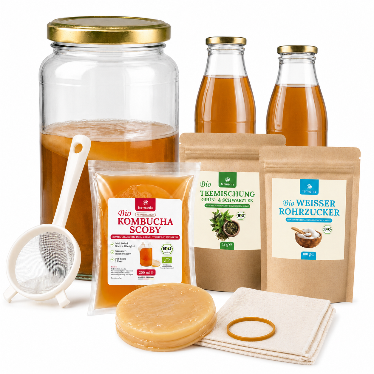 Kombucha Medium Starter Set mit Kombucha Teepilz (SCOBY) + Zubehör