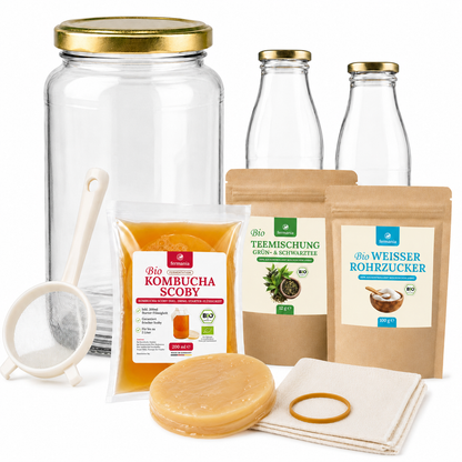 Kombucha Medium Starter Set mit Kombucha Teepilz (SCOBY) + Zubehör