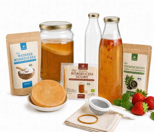 Kombucha Starter Set - selber machen mit Kombucha Teepilz (SCOBY) + Zubehör