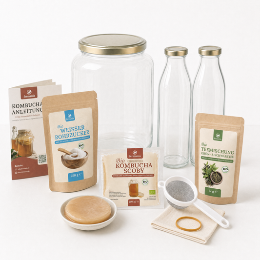 Kombucha Starter Set mit Kombucha Teepilz (SCOBY) + Zubehör – von Fermania