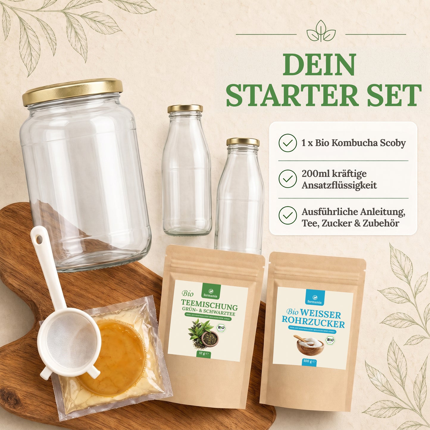 Kombucha Medium Starter Set mit Kombucha Teepilz (SCOBY) + Zubehör