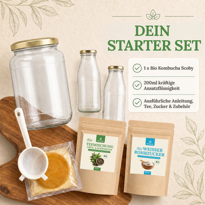 Kombucha Medium Starter Set mit Kombucha Teepilz (SCOBY) + Zubehör