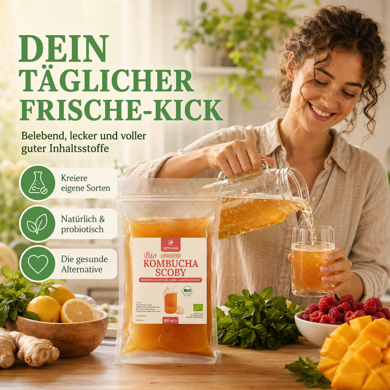 Kombucha Medium Starter Set mit Kombucha Teepilz (SCOBY) + Zubehör
