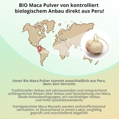 Bio Maca Pulver Schwarz