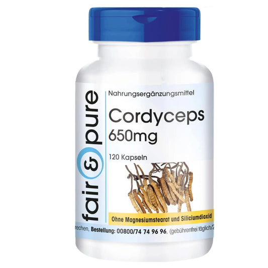 Maitake Vitalpilz Kapseln 650mg | 120 Stück